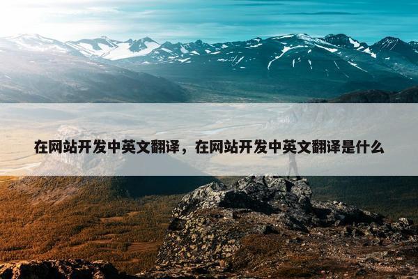 在网站开发中英文翻译，在网站开发中英文翻译是什么