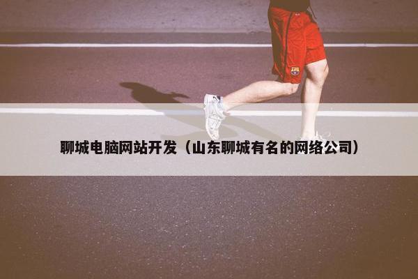 聊城电脑网站开发（山东聊城有名的网络公司）