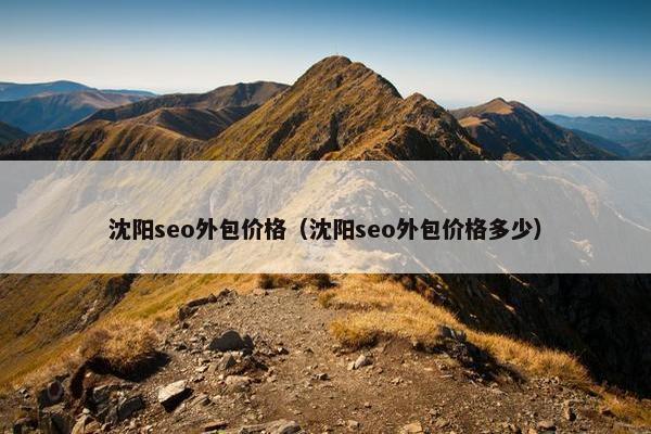 沈阳seo外包价格（沈阳seo外包价格多少）