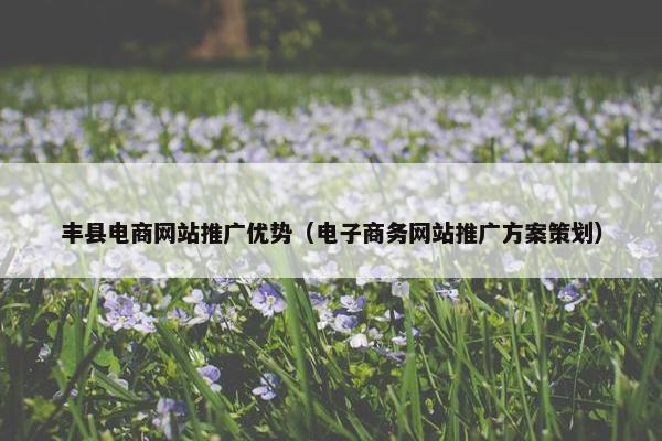 丰县电商网站推广优势（电子商务网站推广方案策划）