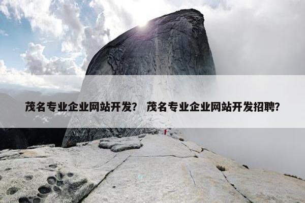 茂名专业企业网站开发？ 茂名专业企业网站开发招聘？