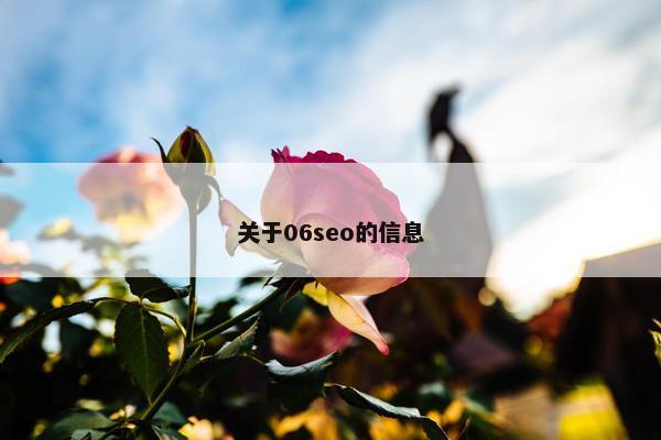关于06seo的信息