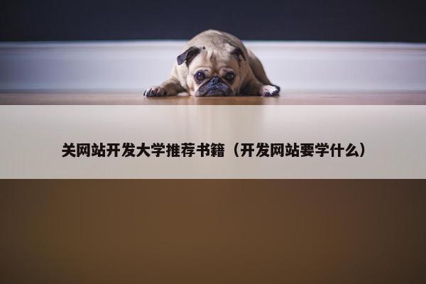 关网站开发大学推荐书籍（开发网站要学什么）