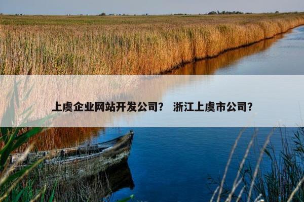 上虞企业网站开发公司？ 浙江上虞市公司？