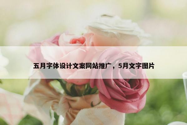 五月字体设计文案网站推广，5月文字图片