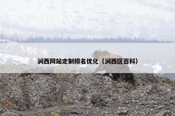 涧西网站定制排名优化（涧西区百科）