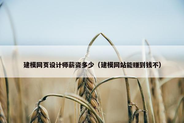 建模网页设计师薪资多少（建模网站能赚到钱不）