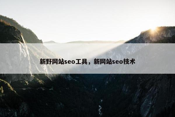 新野网站seo工具，新网站seo技术