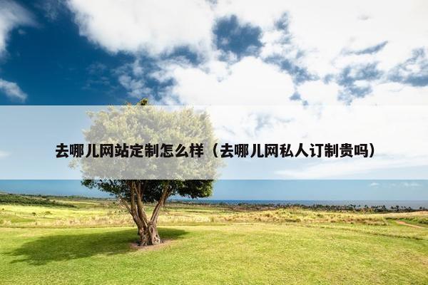 去哪儿网站定制怎么样（去哪儿网私人订制贵吗）
