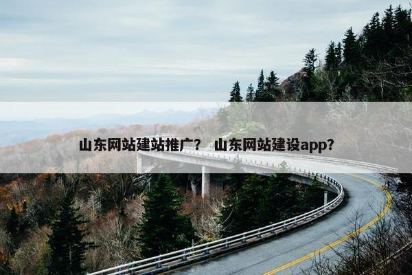 山东网站建站推广？ 山东网站建设app？