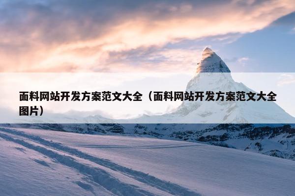 面料网站开发方案范文大全（面料网站开发方案范文大全图片）