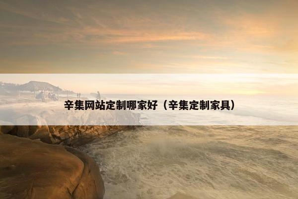 辛集网站定制哪家好（辛集定制家具）