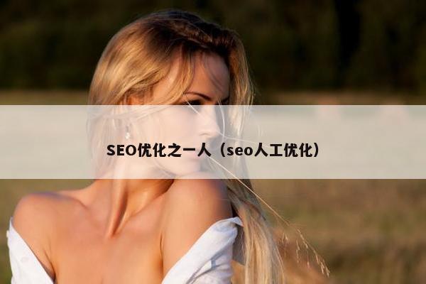 SEO优化之一人（seo人工优化）