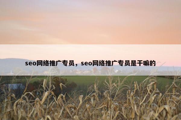seo网络推广专员，seo网络推广专员是干嘛的