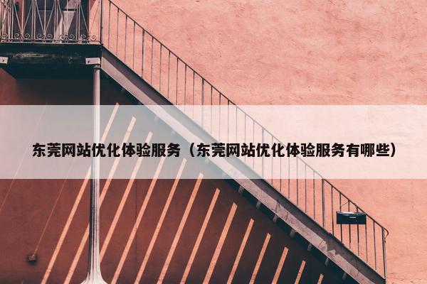 东莞网站优化体验服务（东莞网站优化体验服务有哪些）