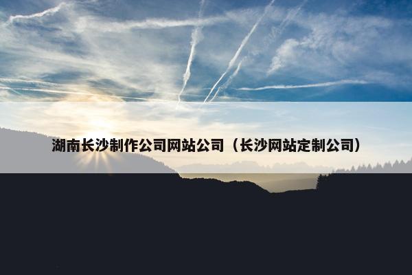 湖南长沙制作公司网站公司（长沙网站定制公司）