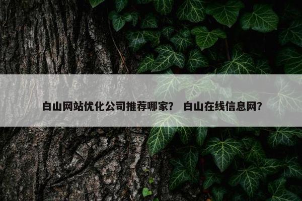 白山网站优化公司推荐哪家？ 白山在线信息网？