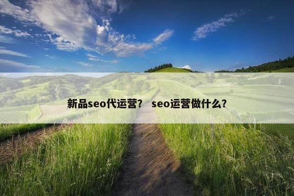 新品seo代运营？ seo运营做什么？