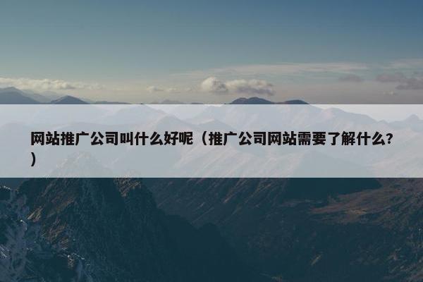 网站推广公司叫什么好呢（推广公司网站需要了解什么?）