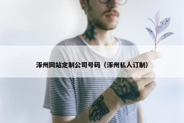 涿州网站定制公司号码（涿州私人订制）