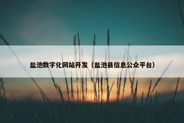 盐池数字化网站开发（盐池县信息公众平台）