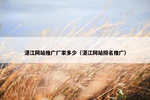 湛江网站推广厂家多少（湛江网站排名推广）