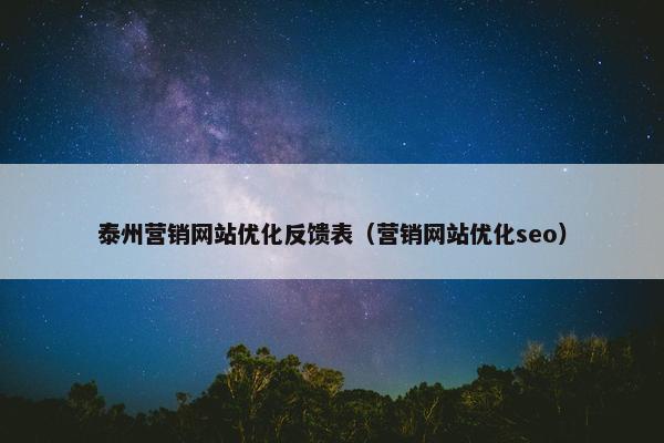 泰州营销网站优化反馈表（营销网站优化seo）