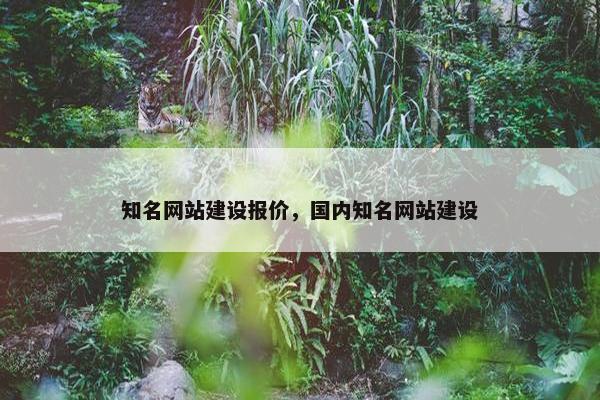知名网站建设报价，国内知名网站建设