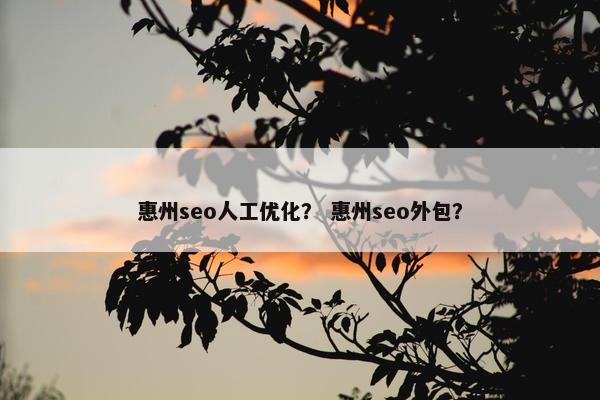 惠州seo人工优化？ 惠州seo外包？