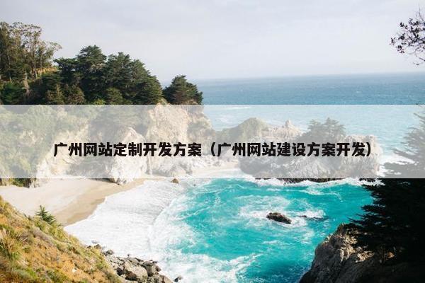 广州网站定制开发方案（广州网站建设方案开发）