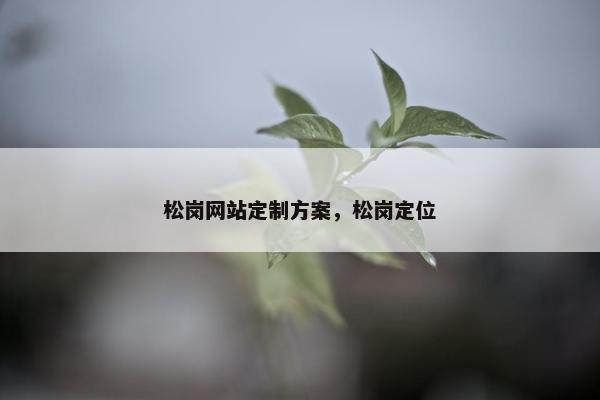 松岗网站定制方案，松岗定位