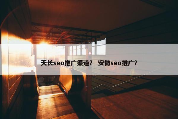 天长seo推广渠道？ 安徽seo推广？