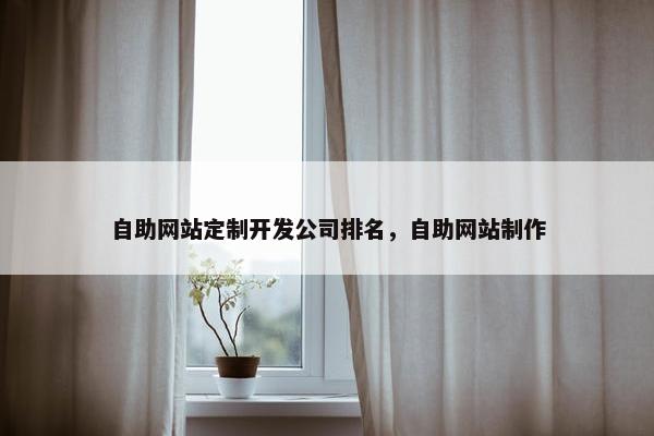 自助网站定制开发公司排名，自助网站制作