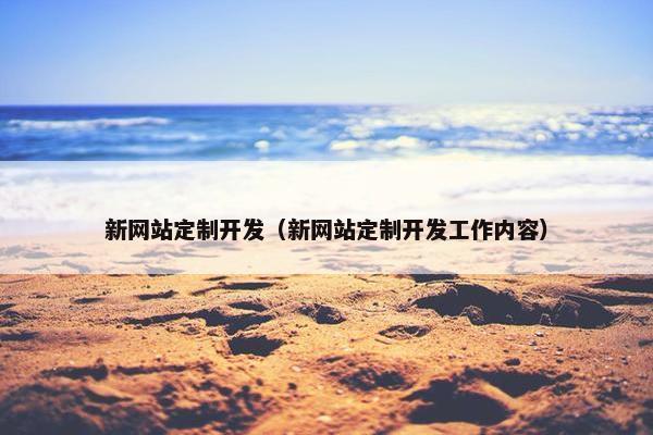 新网站定制开发（新网站定制开发工作内容）