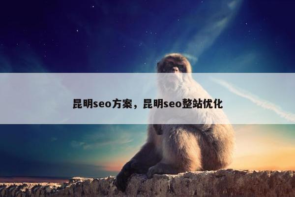 昆明seo方案，昆明seo整站优化
