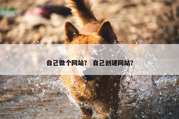 自己做个网站？ 自己创建网站？