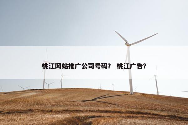 桃江网站推广公司号码？ 桃江广告？