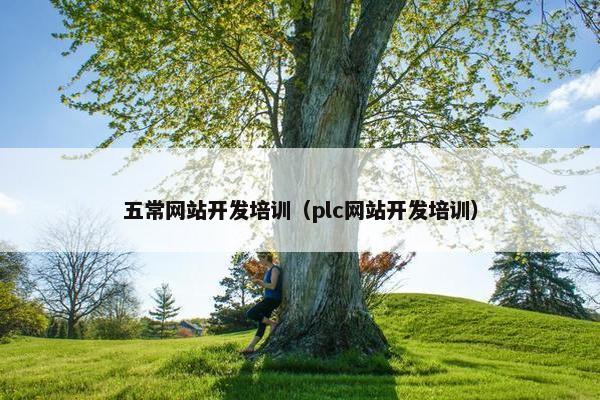 五常网站开发培训（plc网站开发培训）
