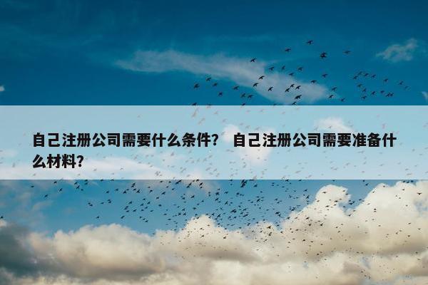 自己注册公司需要什么条件？ 自己注册公司需要准备什么材料？