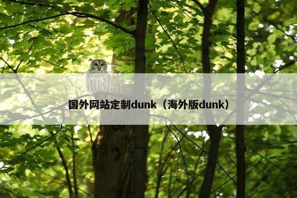 国外网站定制dunk（海外版dunk）