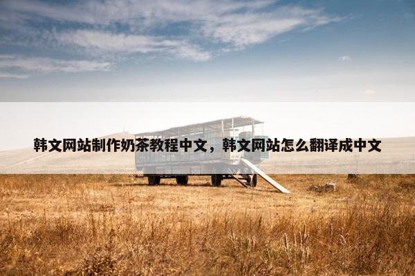 韩文网站制作奶茶教程中文，韩文网站怎么翻译成中文