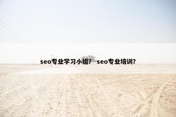 seo专业学习小组？ seo专业培训？