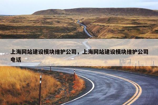 上海网站建设模块维护公司，上海网站建设模块维护公司电话