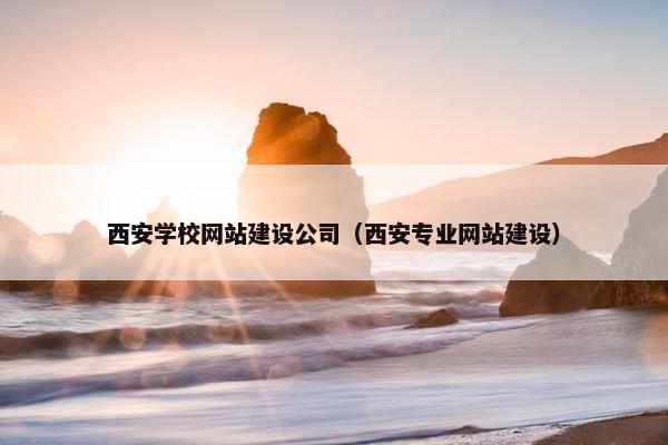 西安学校网站建设公司（西安专业网站建设）