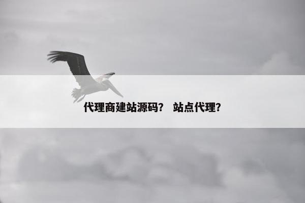 代理商建站源码？ 站点代理？