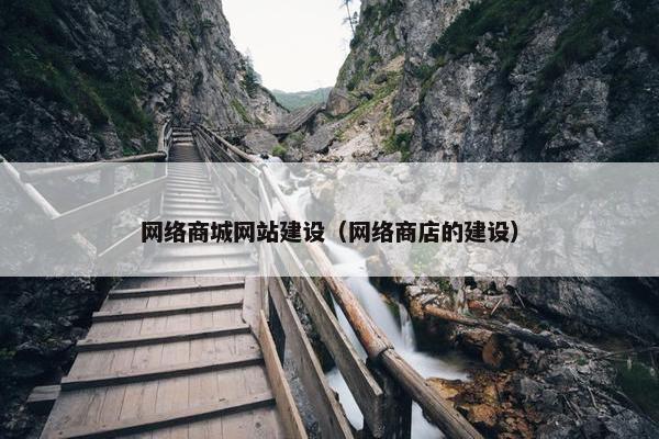 网络商城网站建设（网络商店的建设）