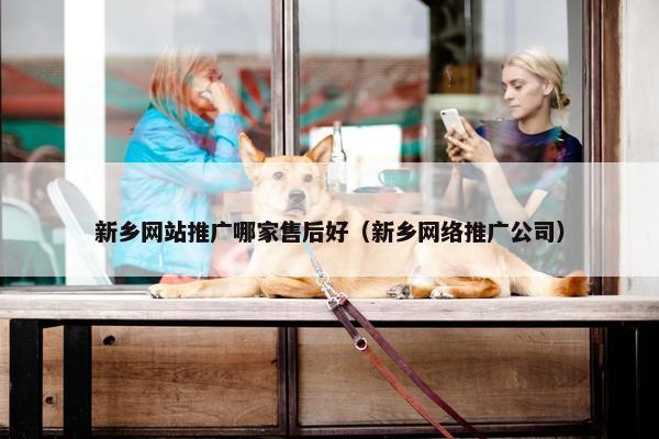 新乡网站推广哪家售后好（新乡网络推广公司）