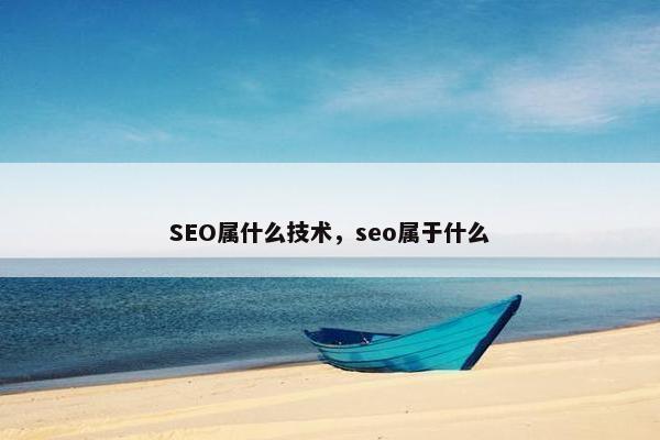 SEO属什么技术，seo属于什么