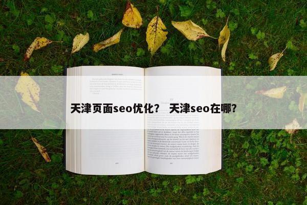 天津页面seo优化？ 天津seo在哪？