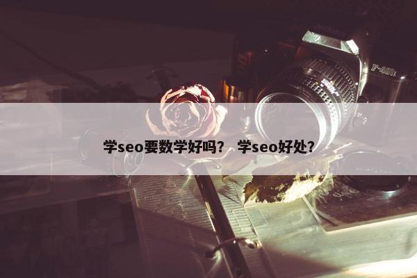 学seo要数学好吗？ 学seo好处？